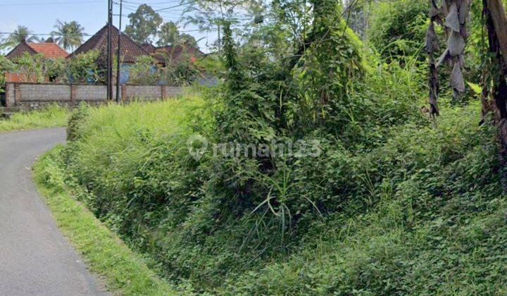 LARGE ROADSIDE LAND SUITABLE FOR VILLA, GOOD LOCATION, UBUD AREA 1