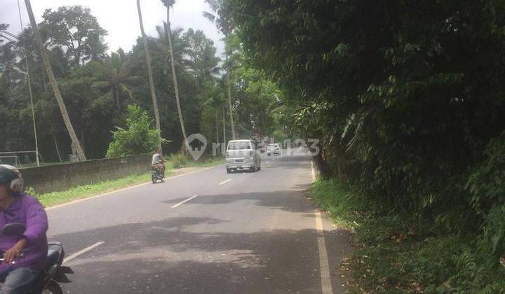 TANAH PINGGIR JALAN COCOK VILLA DI DEKAT BEDUGUL  1