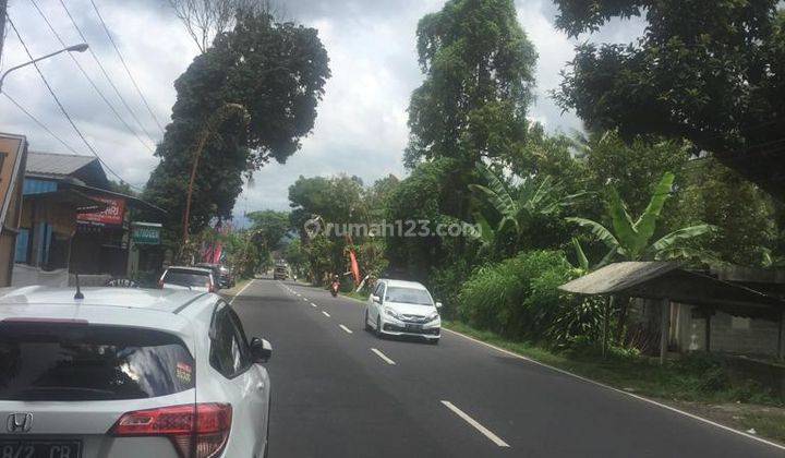 TANAH PINGGIR JALAN COCOK VILLA DI DEKAT BEDUGUL  2