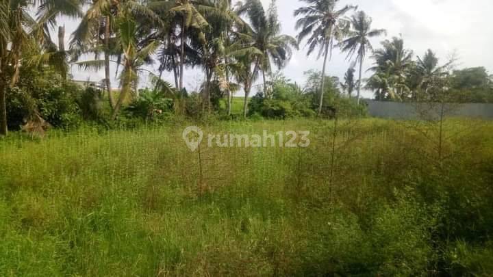 TANAH SEWA SIAP BANGUN VILLA DI KABA KABA LINGKUNGAN VILLA 2