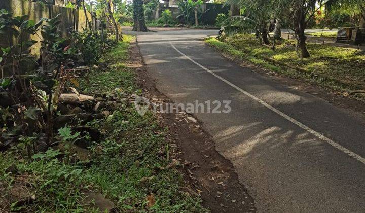 TANAH PINGGIR JALAN BESAR SIAP BANGUN VILLA UBUD 1