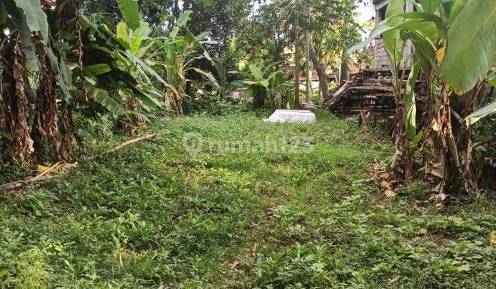 TANAH PINGGIR JALAN BESAR SIAP BANGUN VILLA UBUD 2