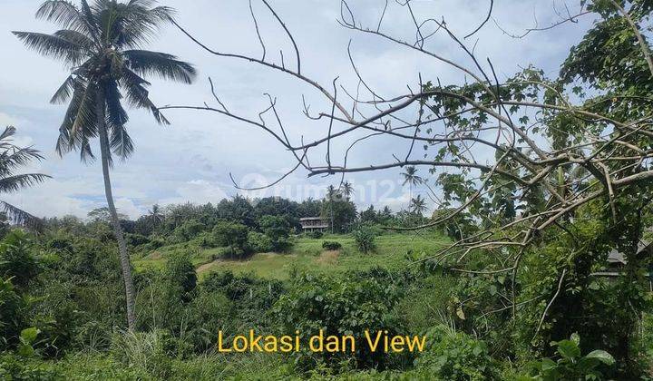 BEAUTIFUL LOS RIVER LAND SUITABLE FOR VILLA COMPLEX 1