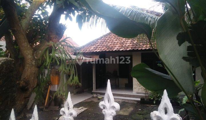 RUMAH SEWA SIAP HUNI DI SINGAPADU DEKAT UBUD 1