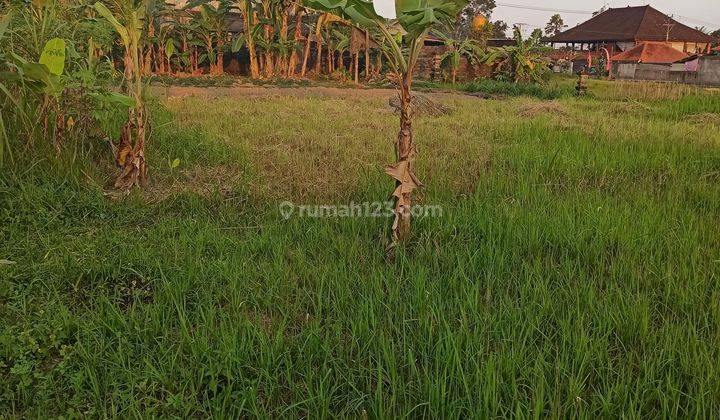 TANAH SEWA UKURAN KECIL DI UBUD AREA LINGKUNGAN VILLA 1