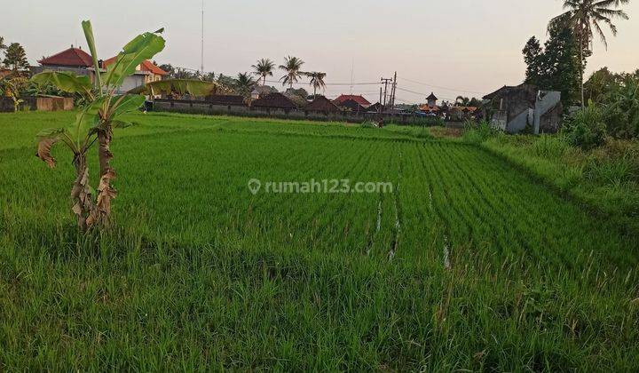 TANAH SEWA SIAP BANGUN VILLA VIEW SAWAH CANTIK 1