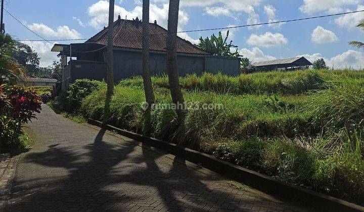 Tanah sewa view sawah lingkungan villa harga murah 1