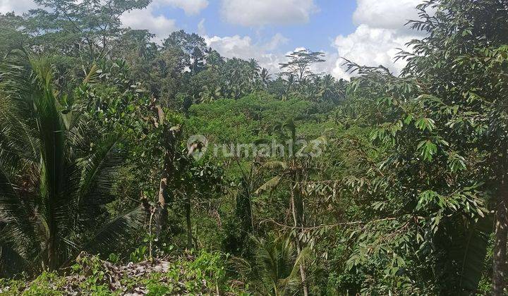 TANAH PINGGIR JALAN RAYA KLIKI VIEW SUNGAI DAN JUNGLE  1