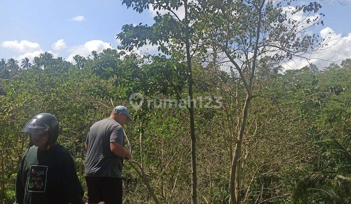 TANAH PINGGIR JALAN RAYA KLIKI VIEW SUNGAI DAN JUNGLE  2