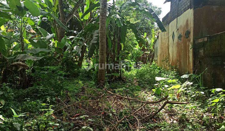 THE CHEAPEST LAND IN MAS UBUD VILLAGE WITH RIVER AND FOREST VIEWS 1