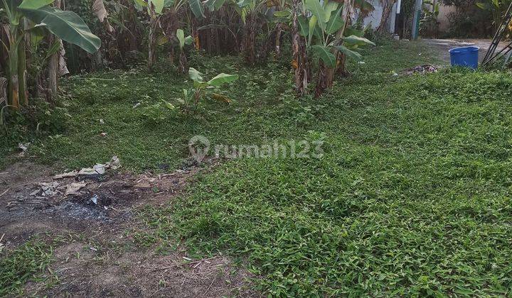 CHEAPEST LAND IN LODTUNDUH UBUD BALI  2