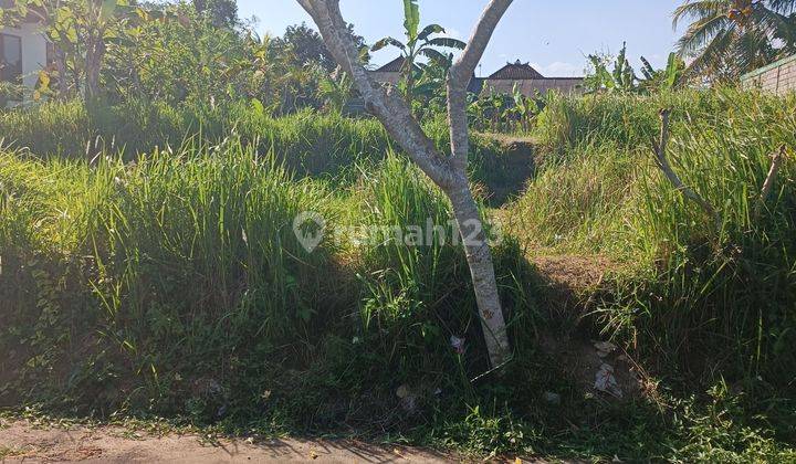 TANAH DEKAT JALAN RAYA COCOK VILLA ATAU RUMAH PRIBADI  1