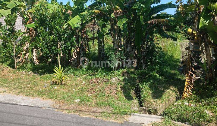 ROADSIDE LAND BEAUTIFUL VIEW VILLA ENVIRONMENT  1