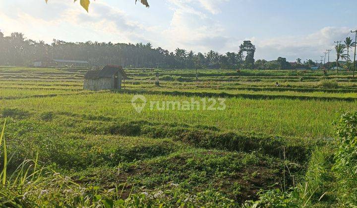 TANAH VIEW SAWAH ABADI COCOK VILLA RENTAL  1