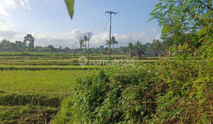 TANAH VIEW SAWAH ABADI COCOK VILLA RENTAL  2