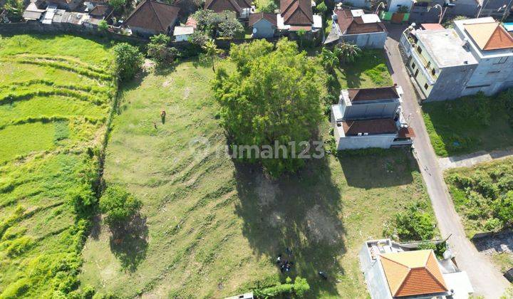 LAND SUITABLE FOR VILLA IN KWANJI NEAR CANGGU AREA 1