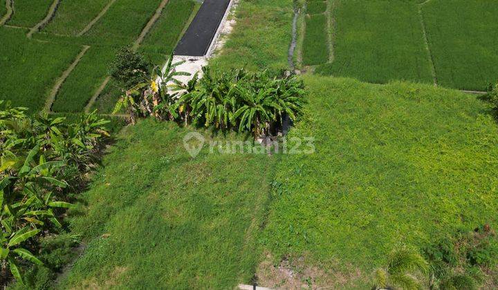 COOL RICE FIELD VIEW LAND IN DAWAS CANGGU AREA 2