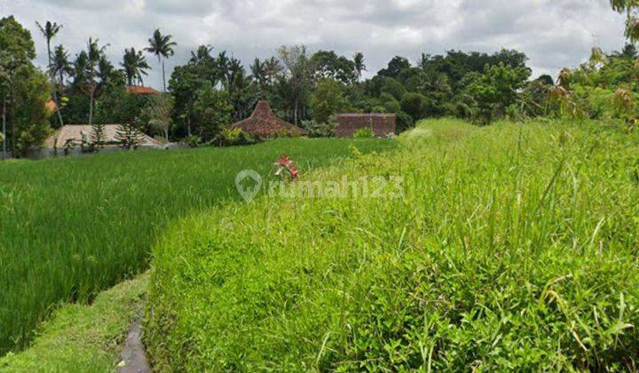 TANAH PINGGIR JALAN DI CENTRAL UBUD COCOK BISNIS DAN VILA 1