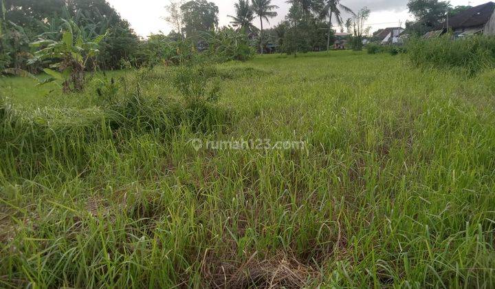 TANAH SEWA UBUD ZONA KUNING SIAP BANGUN VILA 2