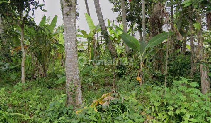 LAND FOR RENT SIDE THE MAIN ROAD SUITABLE FOR VILLAS AND RESTAURANTS 1