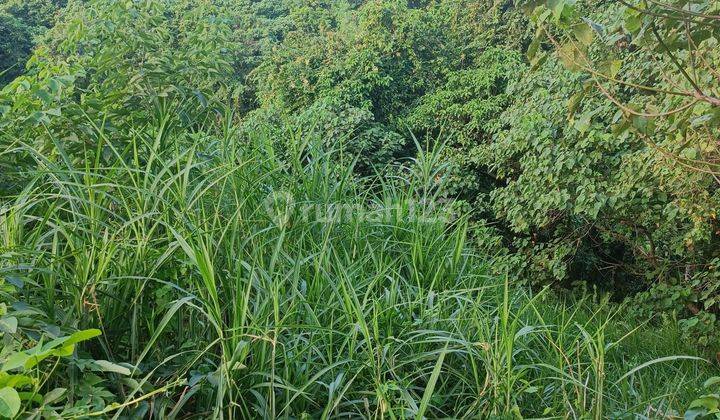 TANAH VIEW SUNGAI DAN LEMBAH TERBAIK DI UBUD SELATAN 1