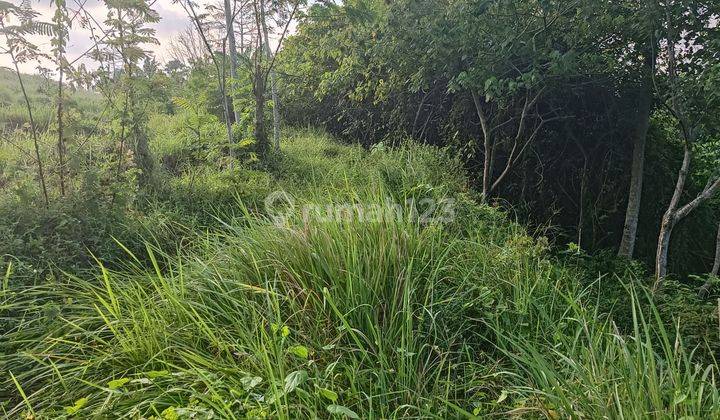 TANAH VIEW SUNGAI DAN LEMBAH TERBAIK DI UBUD SELATAN 2