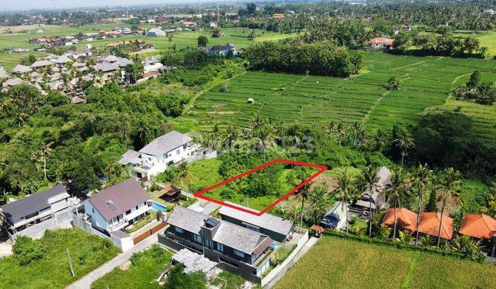 PREMIUM LAND UBUD CENTRAL VIEW SUNGAI DAN SAWAH ABADI 2