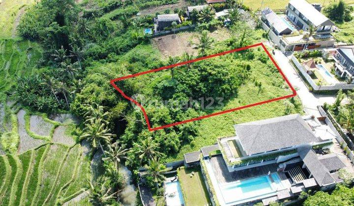 PREMIUM LAND UBUD CENTRAL VIEW SUNGAI DAN SAWAH ABADI 1