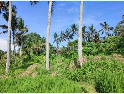 PREMIUM LAND MURAH DI LODTUNDUH UBUD VIEW CANTIK 2