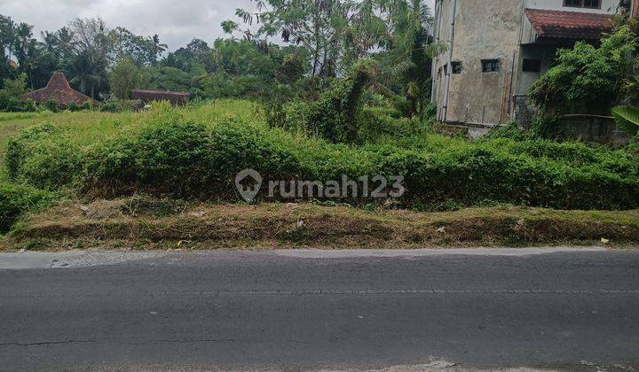 TANAH JALAN UTAMA UBUD COCOK RESTORAN DAN VILLA 2