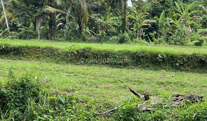 TANAH PINGGIR JALAN ASPAL SIAP BANGUN VIEW CANTIK 1