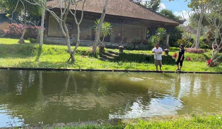 TANAH SEWA VIEW CANTIK BONUS BANGUNAN DI UBUD TIMUR 2