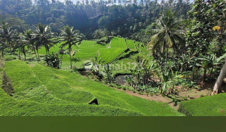 TANAH DENGAN VIEW CANTIK HAWA SEJUK LINGKUNGAN RESORT SEBATU 1