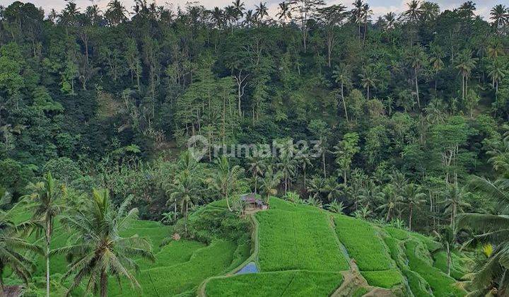 TANAH DENGAN VIEW CANTIK HAWA SEJUK LINGKUNGAN RESORT SEBATU 2