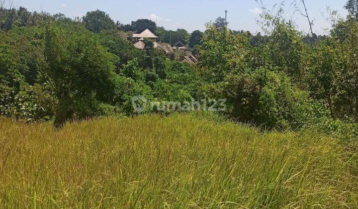 TANAH VIEW SUNGAI KEREN DI SUKAWATI COCOK VILLA DAN KAVLING 1