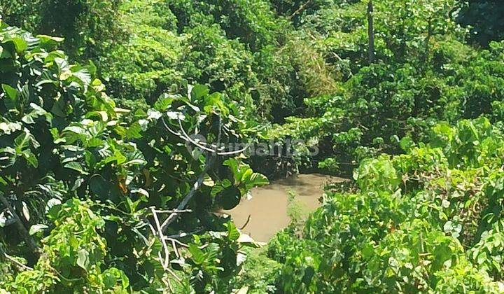 TANAH VIEW SUNGAI KEREN DI SUKAWATI COCOK VILLA DAN KAVLING 2