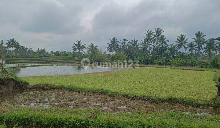 TANAH VIEW SAWAH TERASERING CANTIK UTARA UBUD COCOK VILLA  1