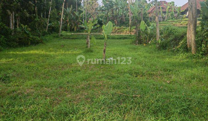 TANAH VIEW JUNGLE LEMBAH KEREN DI UBUD COCOK VILLA PRIBADI  1