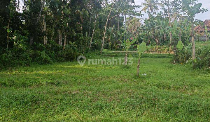 TANAH VIEW JUNGLE LEMBAH KEREN DI UBUD COCOK VILLA PRIBADI  2