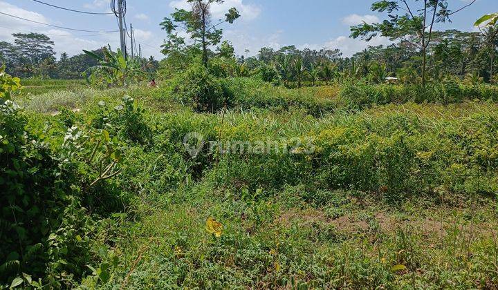 TANAH VIEW SAWAH SIAP BANGUN COCOK VILLA RENTAL  2