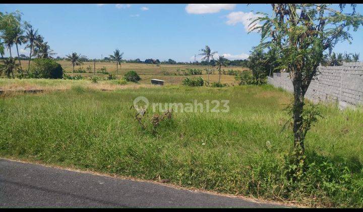 TANAH PINGGIR JALAN PANTAI LIMA PERERENAN COCOK RESTORAN 2