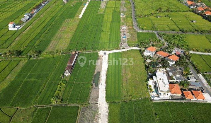 BEAUTIFUL LAND VIEW SUITABLE FOR VILLA IN CEMAGI  1