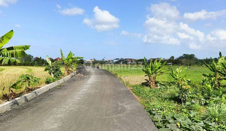 TANAH SIAP BANGUN VILLA DI BERAWA CANGGU  1