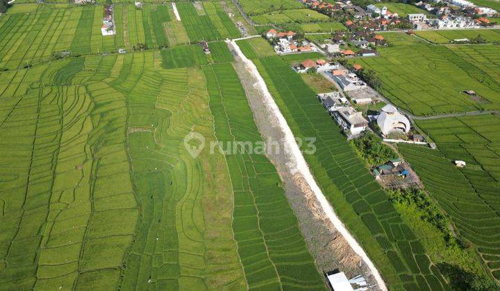 TANAH VIEW BAGUS DI UMALAS LINGKUNGAN VILLA  2