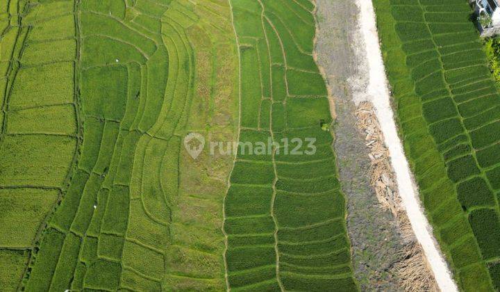 TANAH VIEW BAGUS DI UMALAS LINGKUNGAN VILLA  1