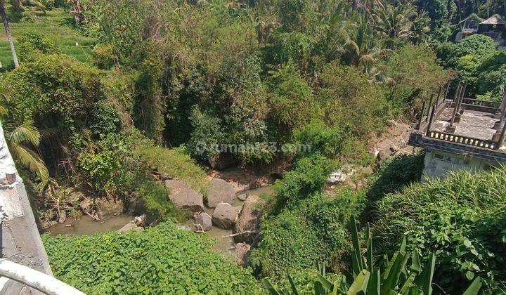 TANAH VIEW SUNGAI SAWAH JUNGLE CANTIK BONUS VILLA 2