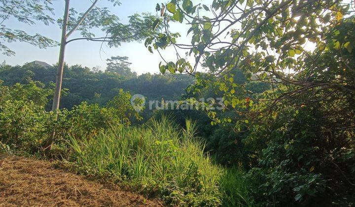 TANAH VIEW SUNGAI LEMBAH DAN JUNGLE TERMURAH DI UBUD AREA 2