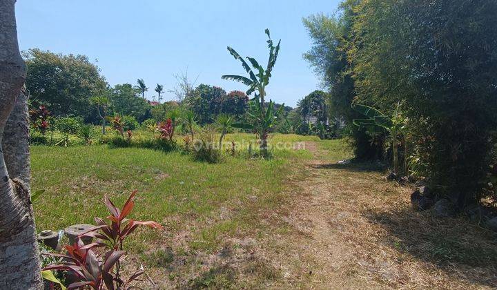 TANAH DEKAT CENTER UBUD VIEW SUNGAI LINGKUNGAN VILLA  1