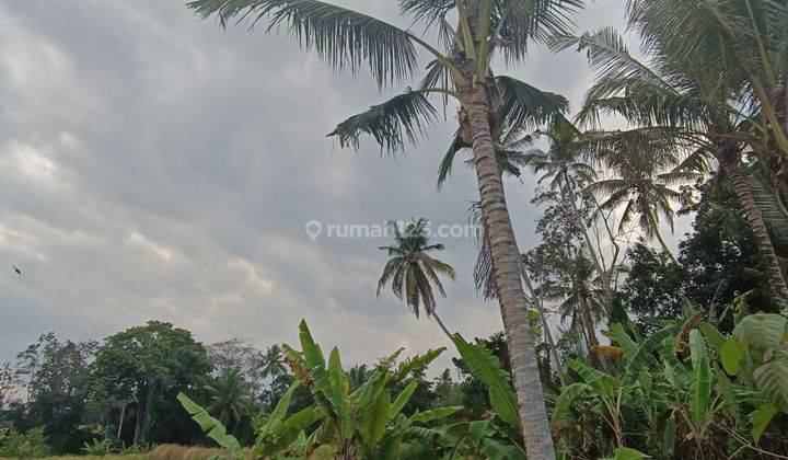 TANAH VIEW CANTIK HARGA TER MURAH DI SABA DEKAT PANTAI  1