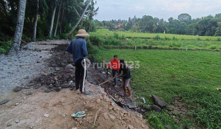 TANAH VIEW CANTIK HARGA TER MURAH DI SABA DEKAT PANTAI  2